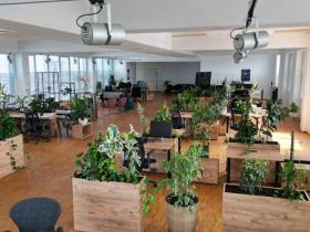 Entdecke den Coworking Space für IT Professionals