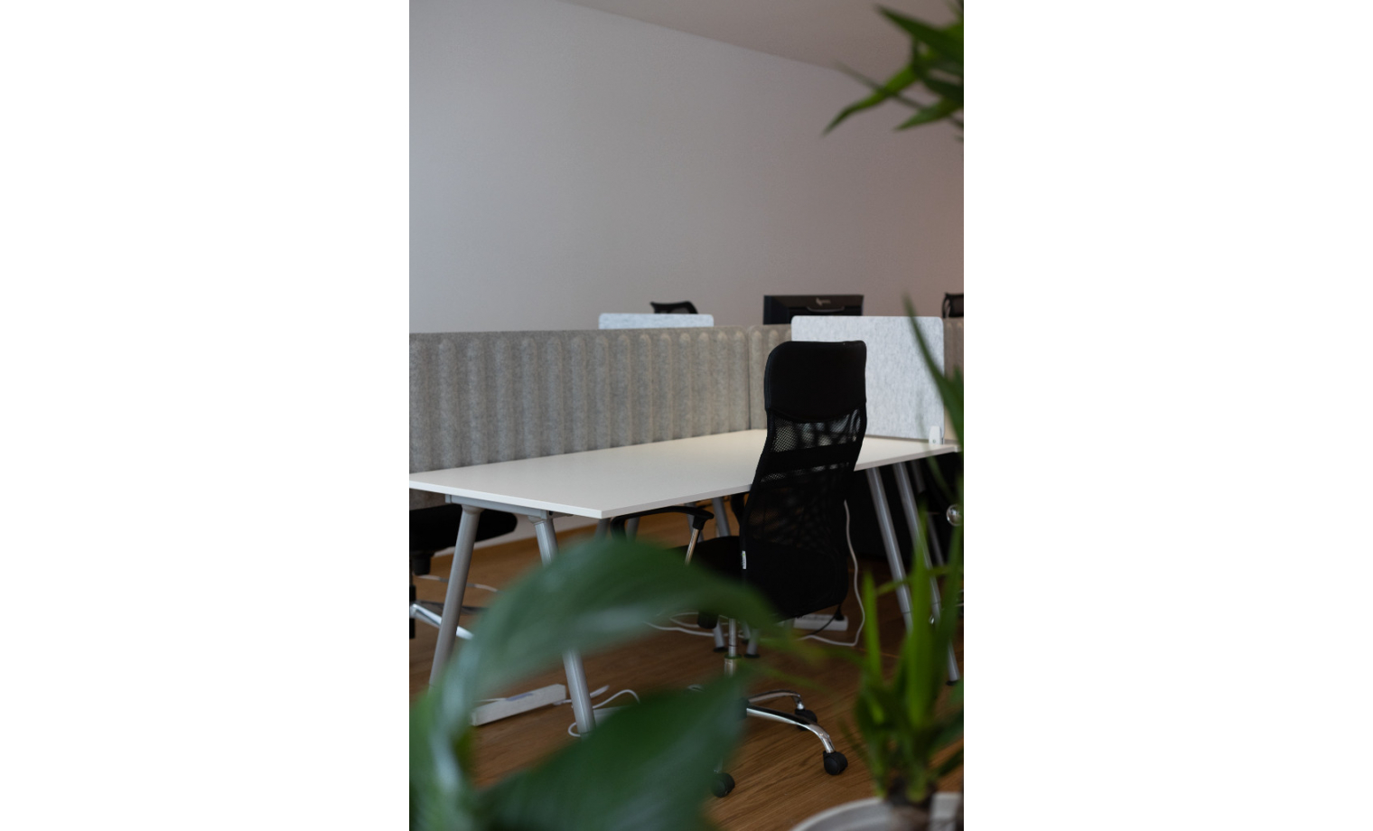 Shared Office Trivastraße München Neuhausen