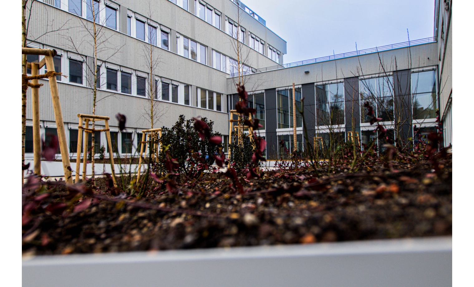 Office Sharing Fabeckstraße Berlin Zehlendorf