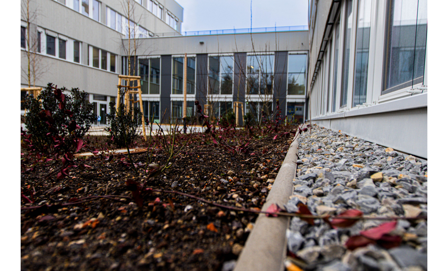 Büro auf Zeit Fabeckstraße Berlin Zehlendorf