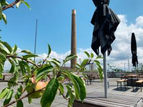 Büroarbeitsplatz in hellem, schönen Raum auf in Neuköln